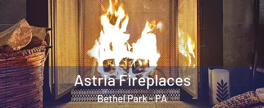  Astria Fireplaces Bethel Park - PA