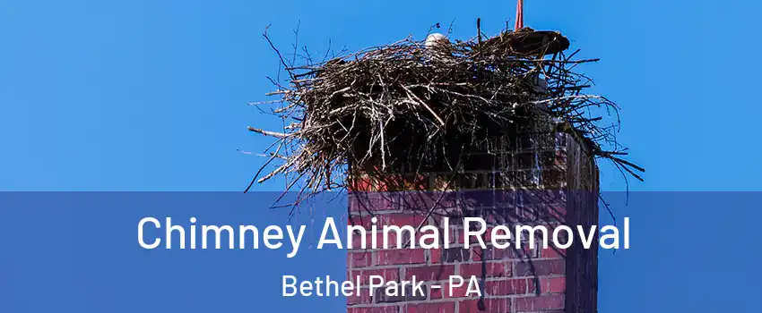 Chimney Animal Removal Bethel Park - PA