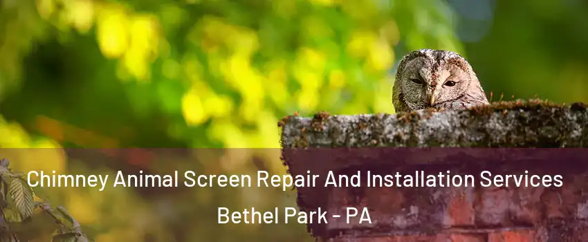  Chimney Animal Screen Repair And Installation Services Bethel Park - PA