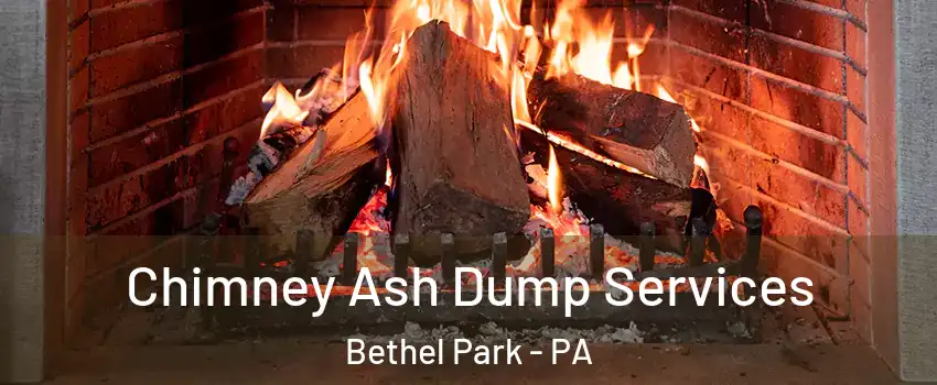  Chimney Ash Dump Services Bethel Park - PA