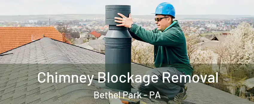  Chimney Blockage Removal Bethel Park - PA