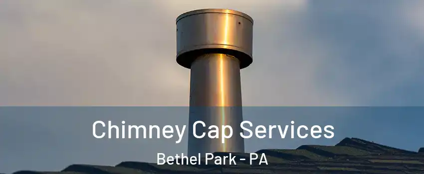  Chimney Cap Services Bethel Park - PA