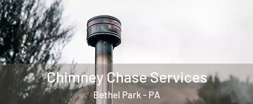  Chimney Chase Services Bethel Park - PA