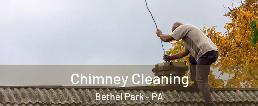  Chimney Cleaning Bethel Park - PA