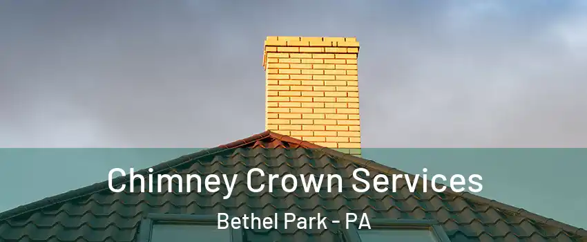 Chimney Crown Services Bethel Park - PA