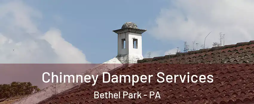  Chimney Damper Services Bethel Park - PA