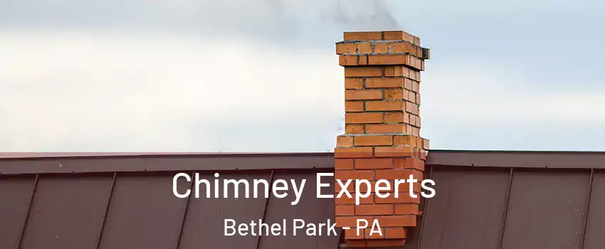 Chimney Experts Bethel Park - PA