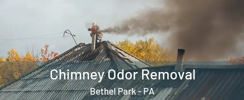  Chimney Odor Removal Bethel Park - PA
