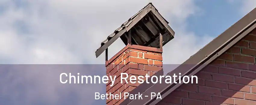  Chimney Restoration Bethel Park - PA