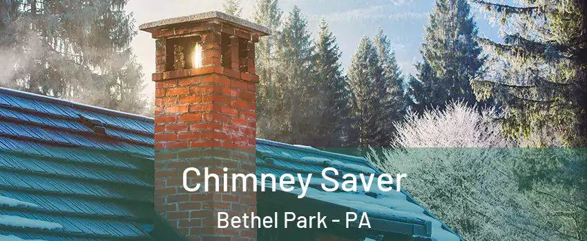  Chimney Saver Bethel Park - PA