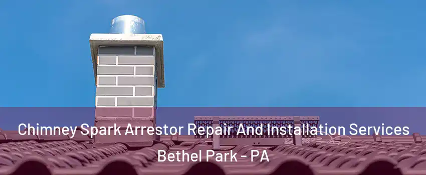  Chimney Spark Arrestor Repair And Installation Services Bethel Park - PA