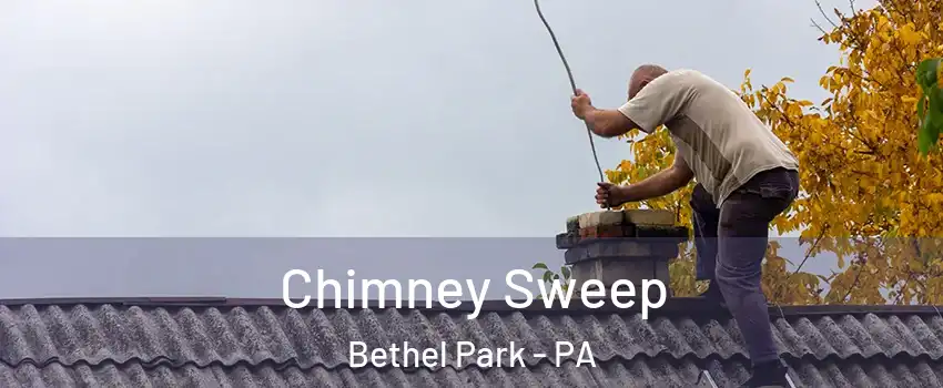  Chimney Sweep Bethel Park - PA