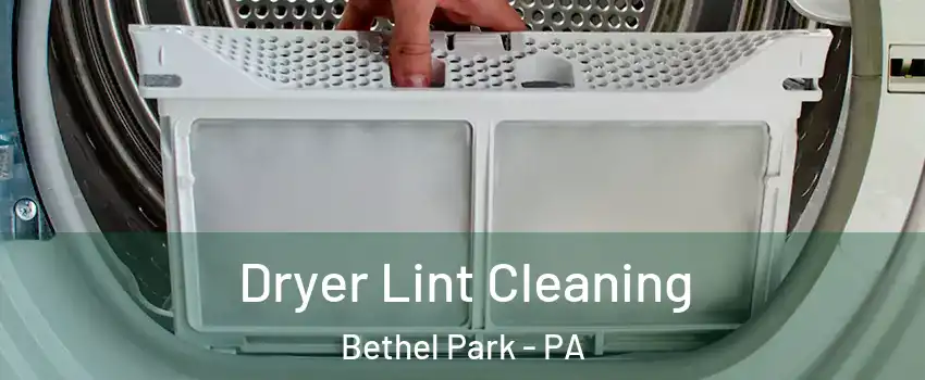  Dryer Lint Cleaning Bethel Park - PA