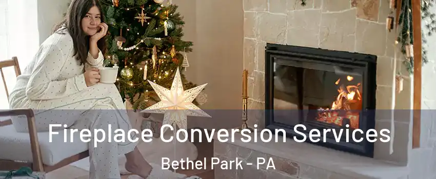  Fireplace Conversion Services Bethel Park - PA