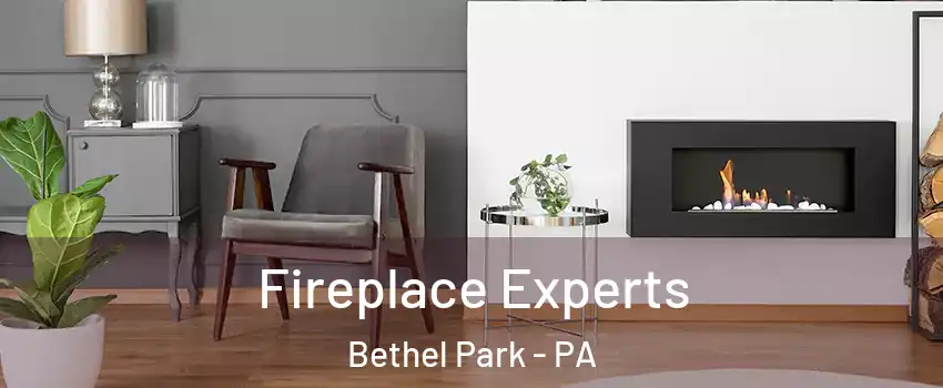  Fireplace Experts Bethel Park - PA