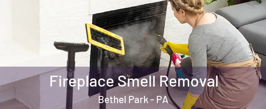 Fireplace Smell Removal Bethel Park - PA
