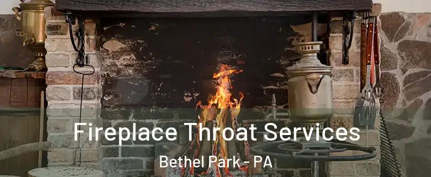  Fireplace Throat Services Bethel Park - PA