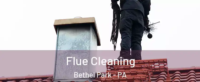  Flue Cleaning Bethel Park - PA