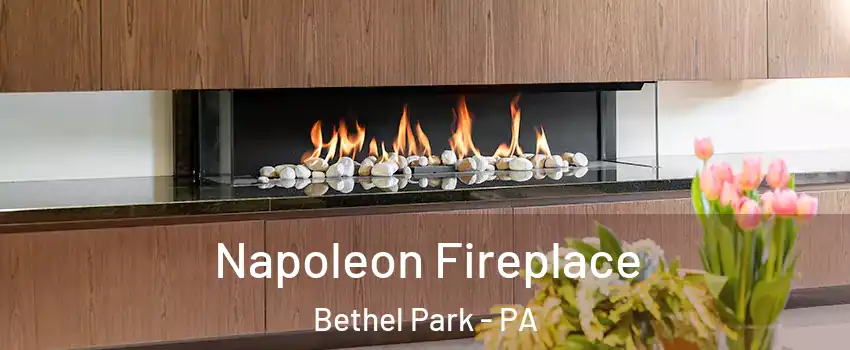  Napoleon Fireplace Bethel Park - PA