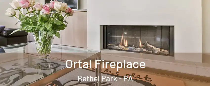 Ortal Fireplace Bethel Park - PA