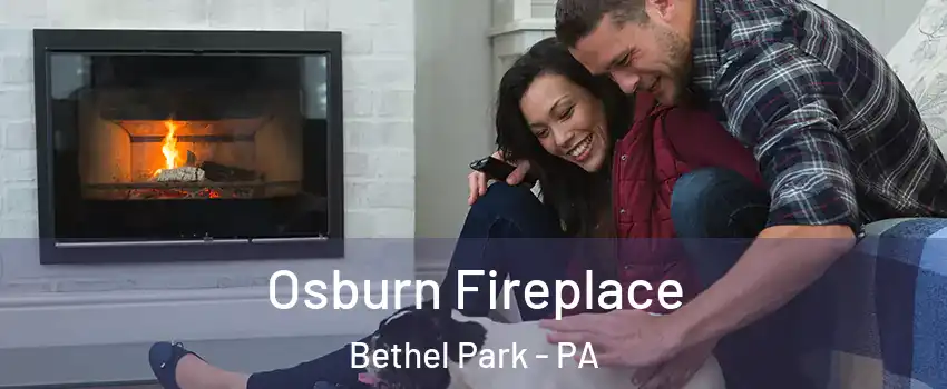  Osburn Fireplace Bethel Park - PA